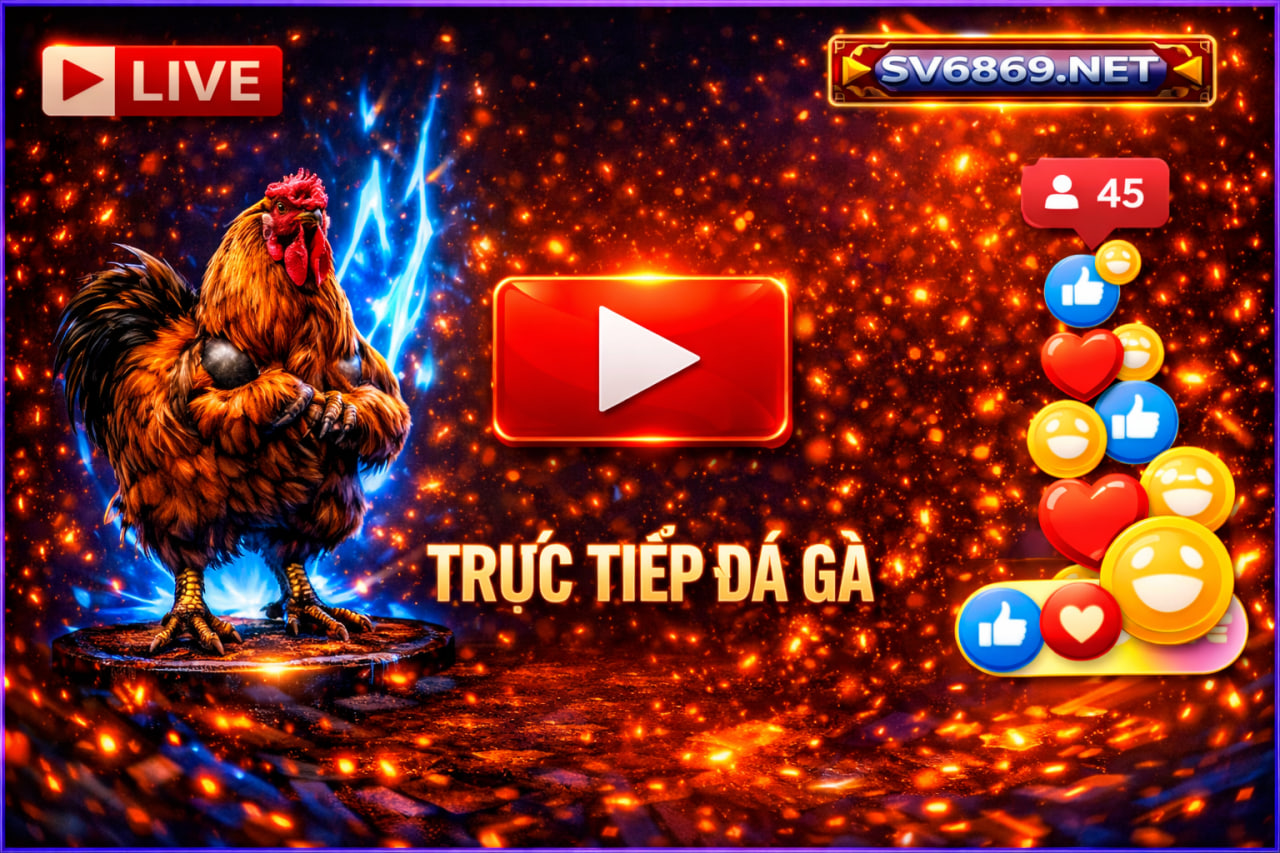 Đá gà trực tiếp Thomo CPC1